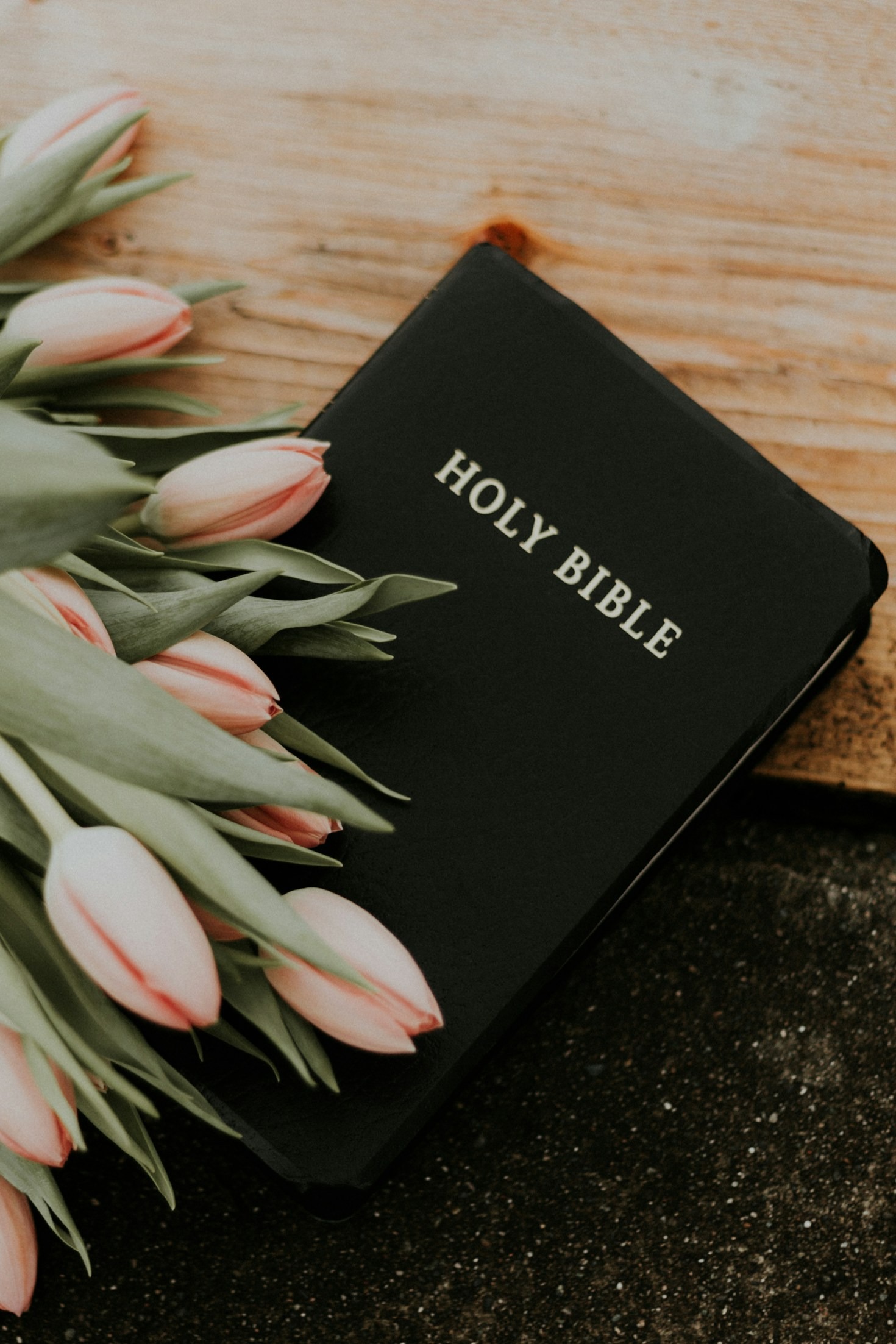 My Publishing Journey